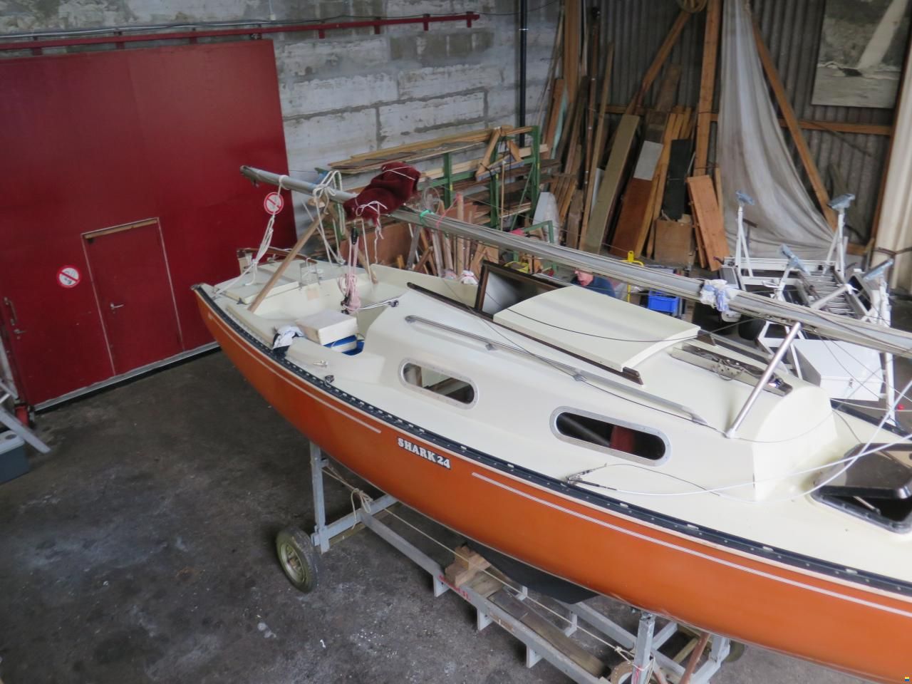 Shark 24