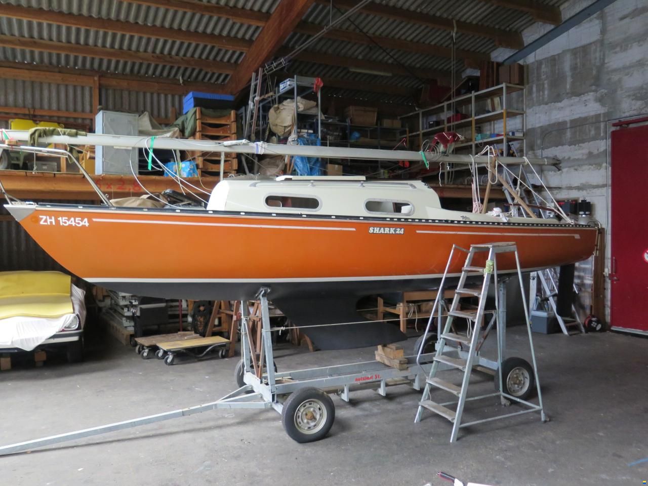 Shark 24