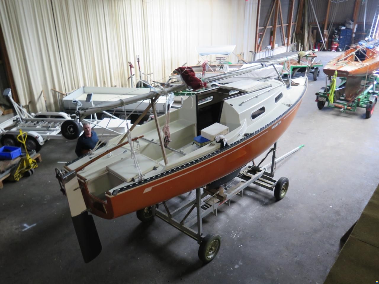 Shark 24