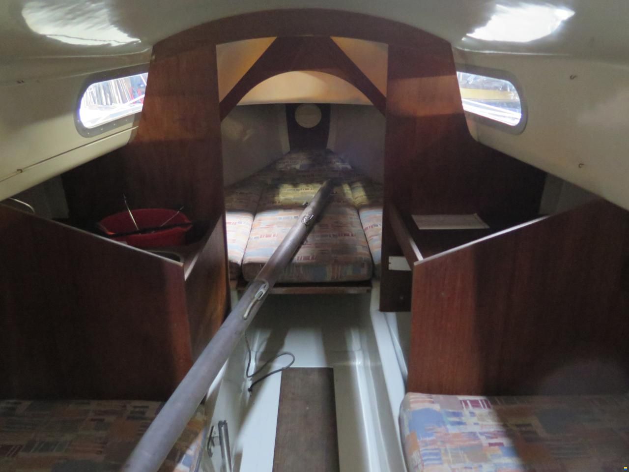 Shark 24