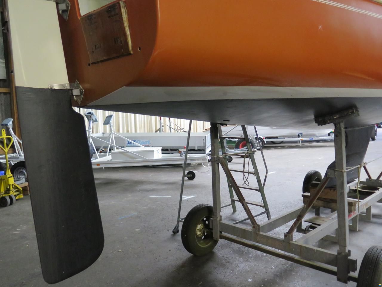Shark 24