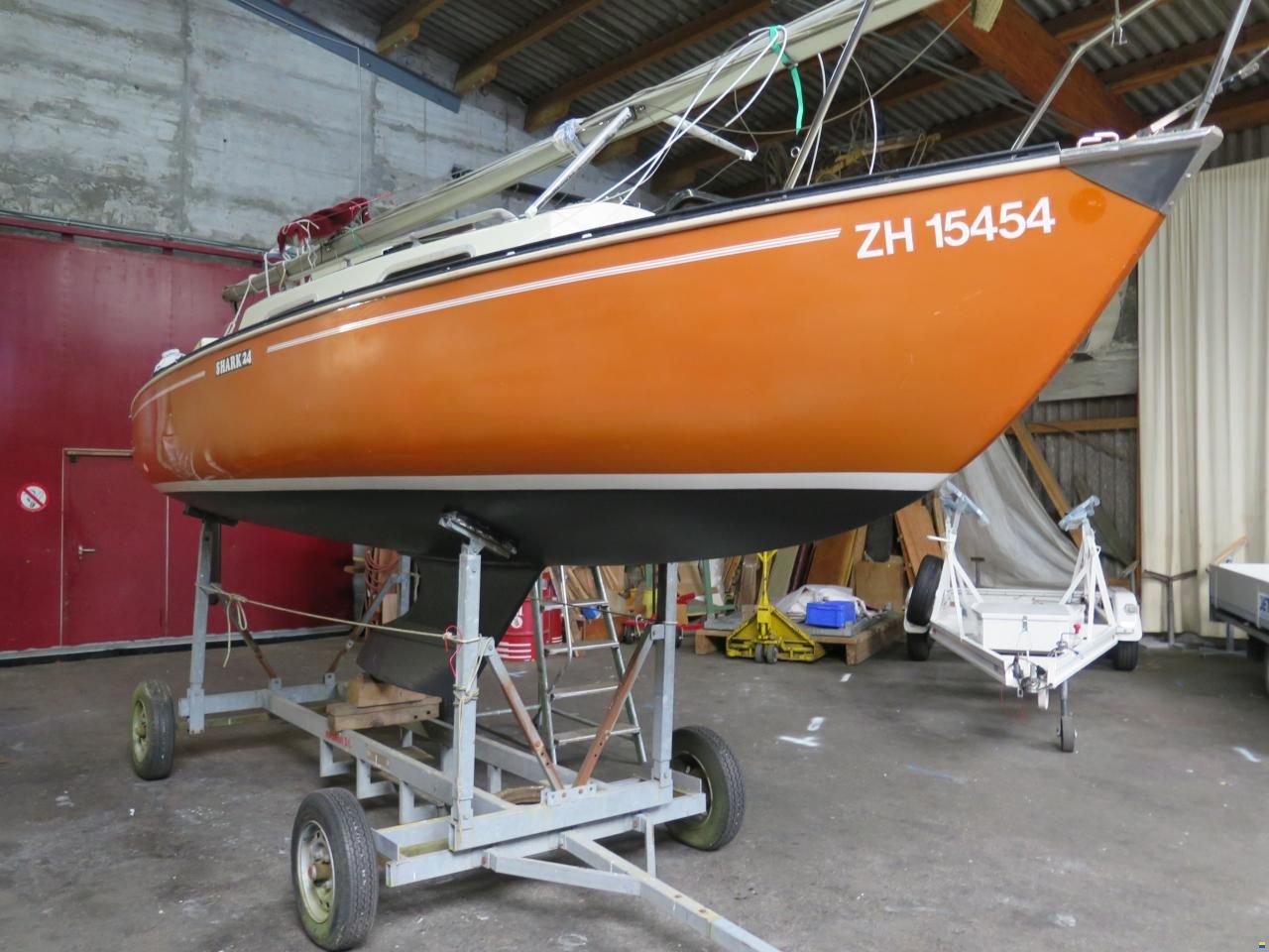 Shark 24