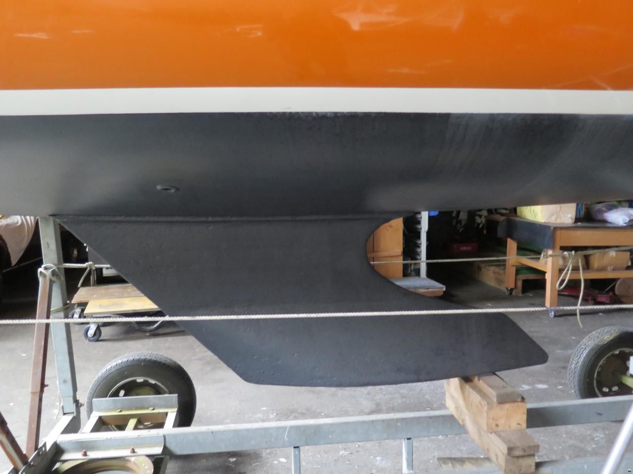 Shark 24