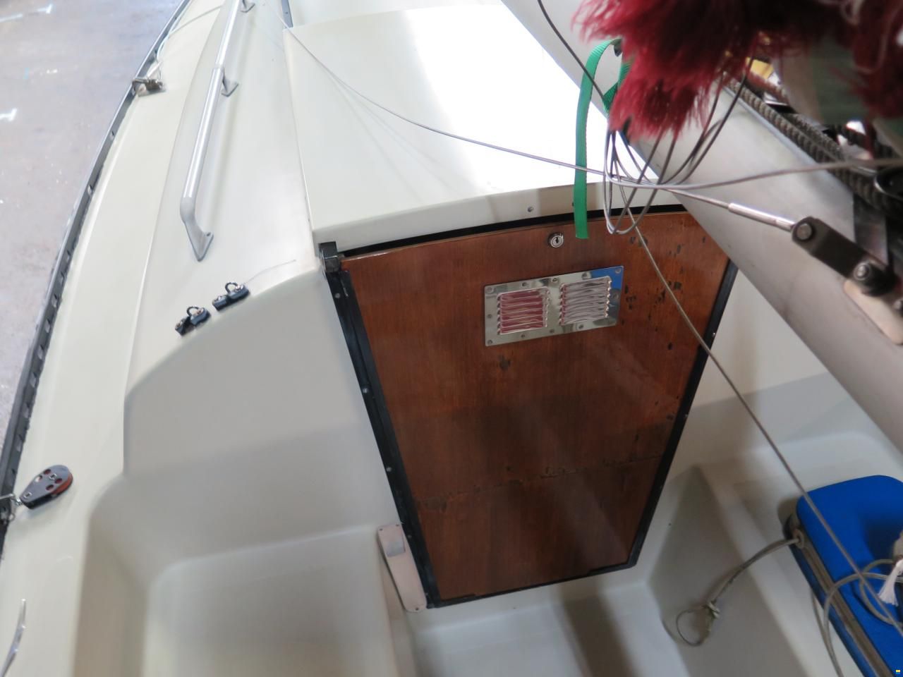 Shark 24