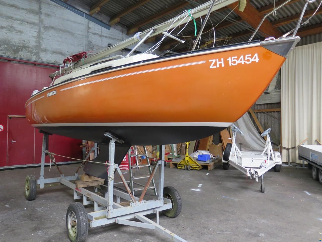 Shark 24