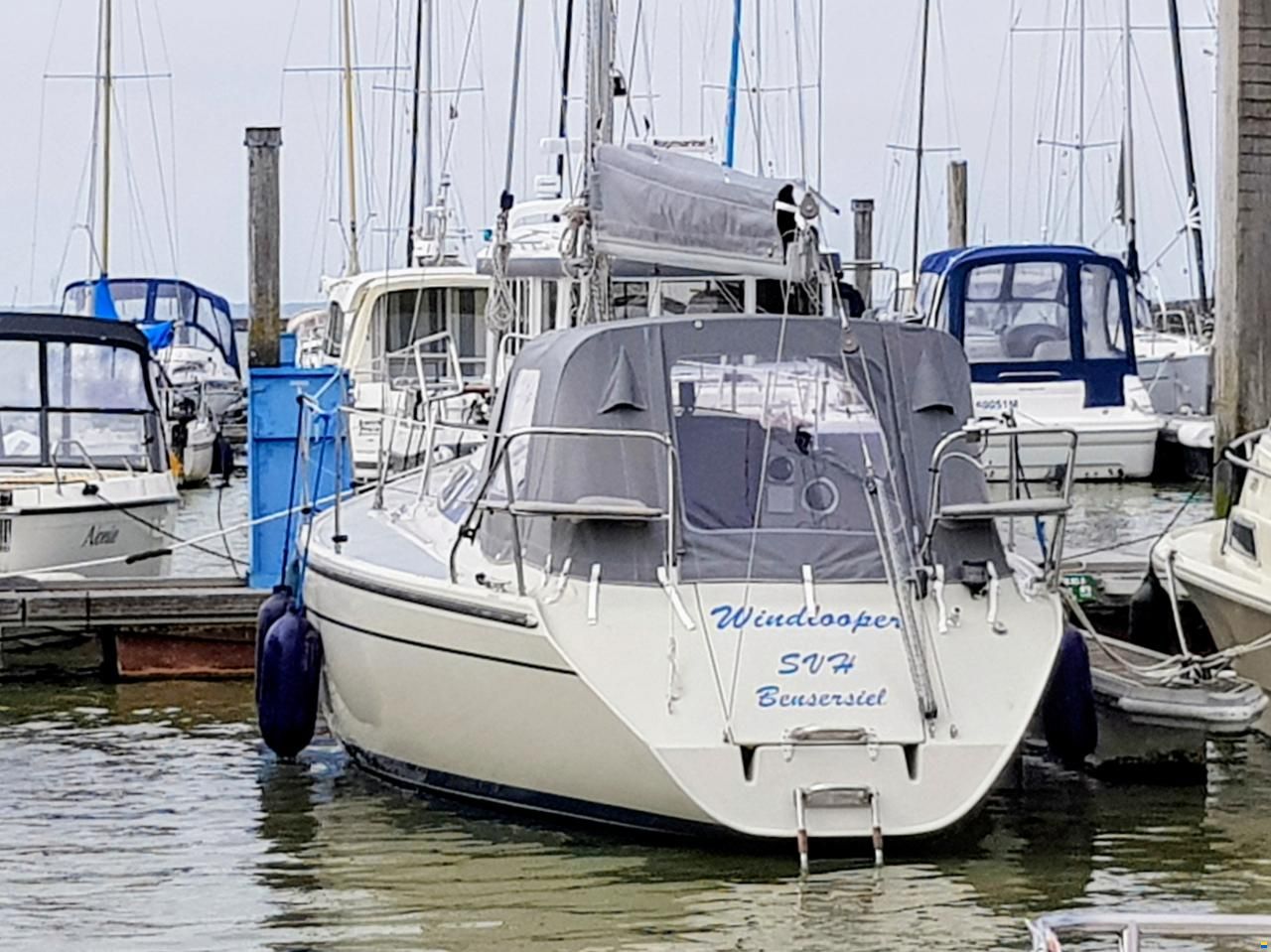 Dehler 31