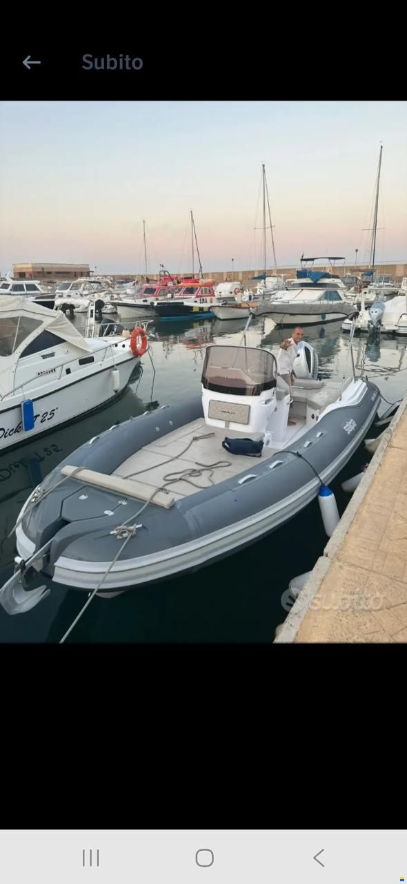 Salpa 23