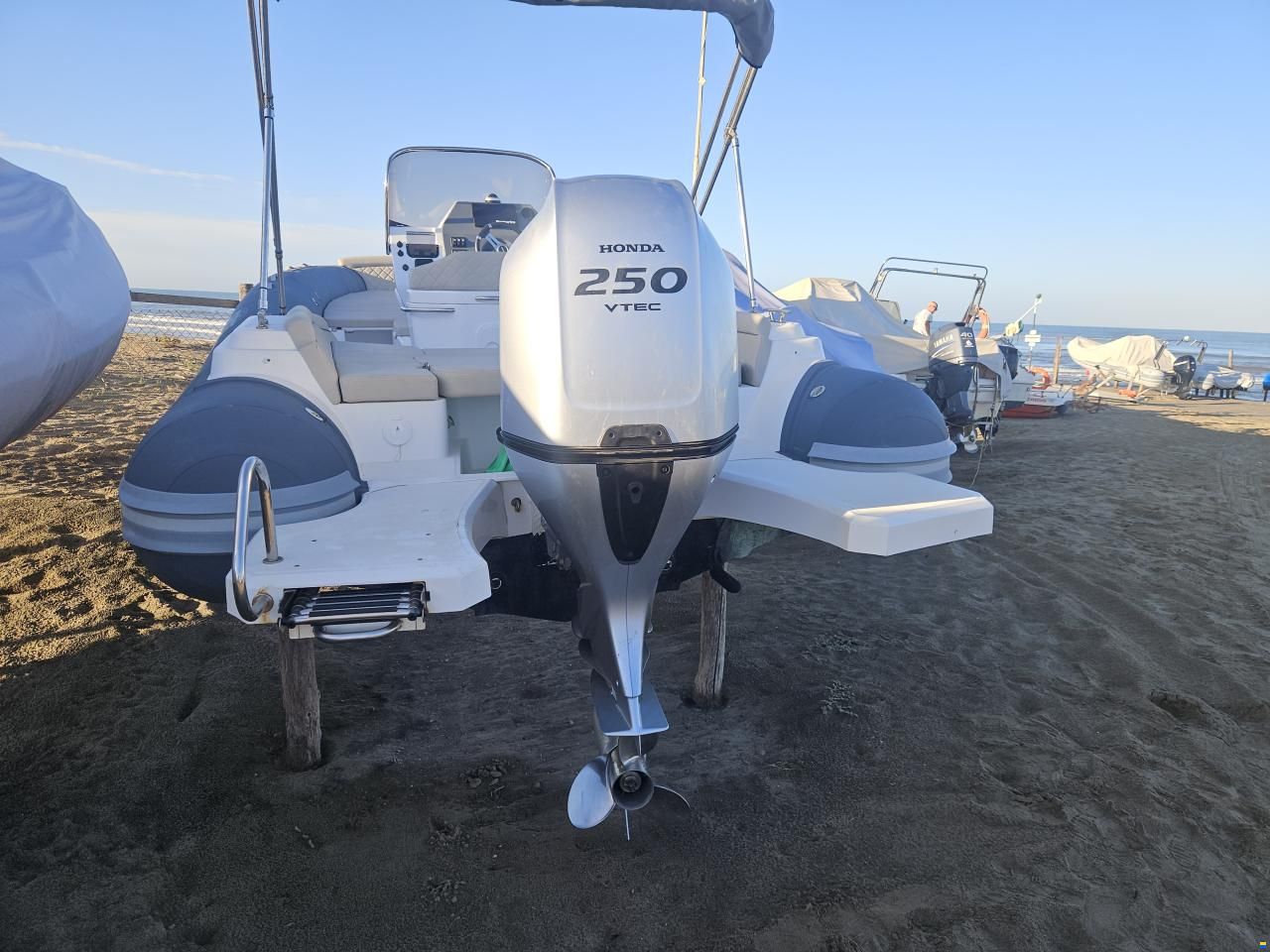 Salpa 23