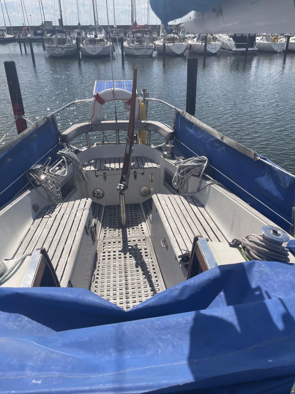 Bianca Commander 31