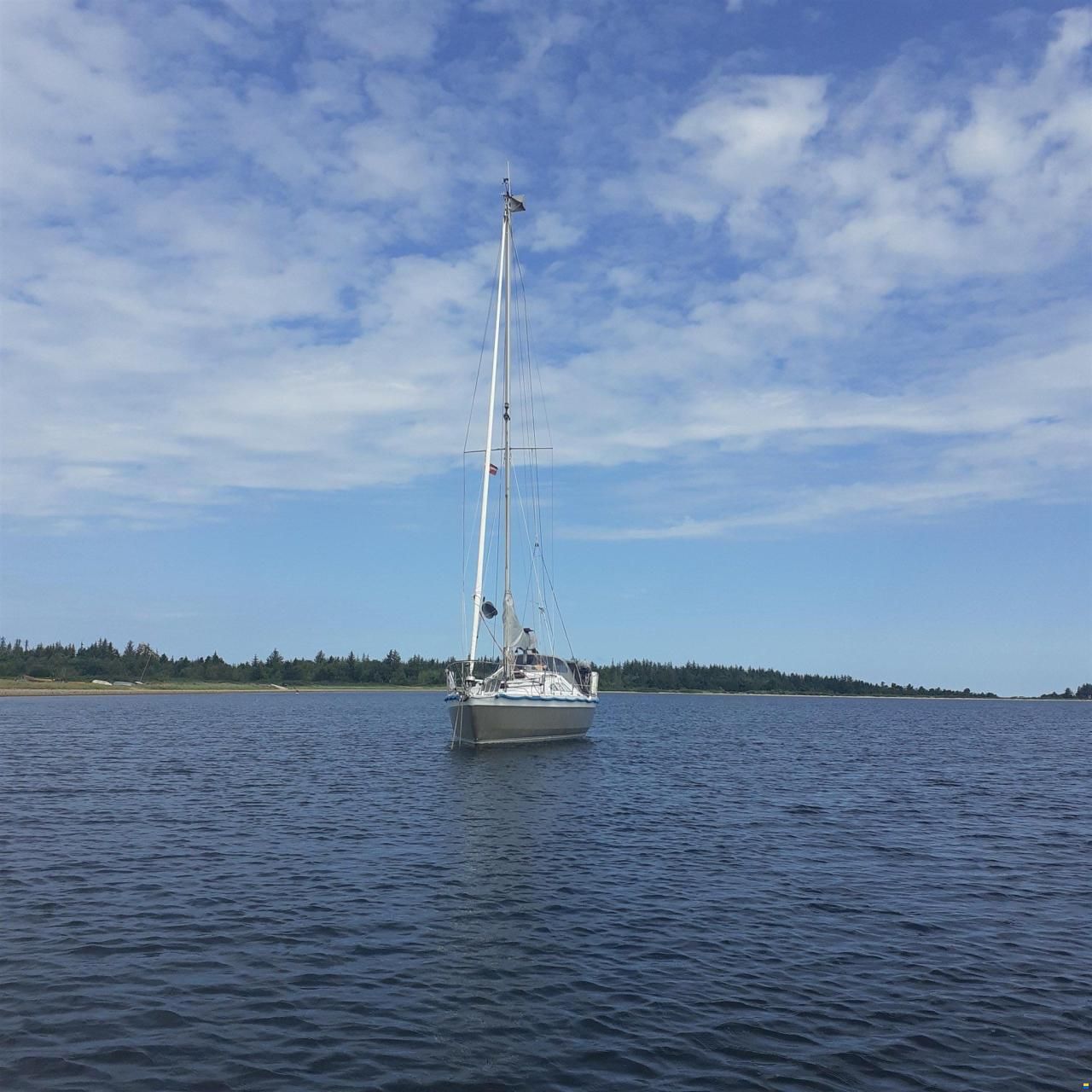 Alubat Ovni 30