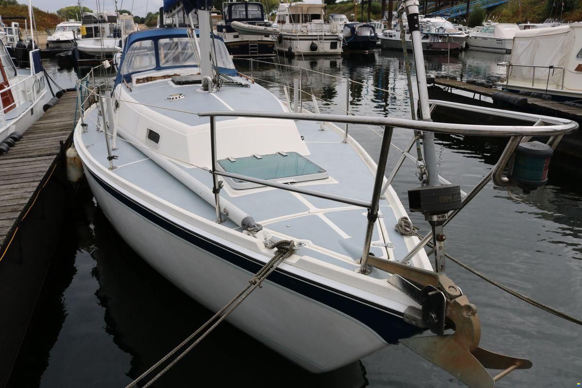 Cal 31
