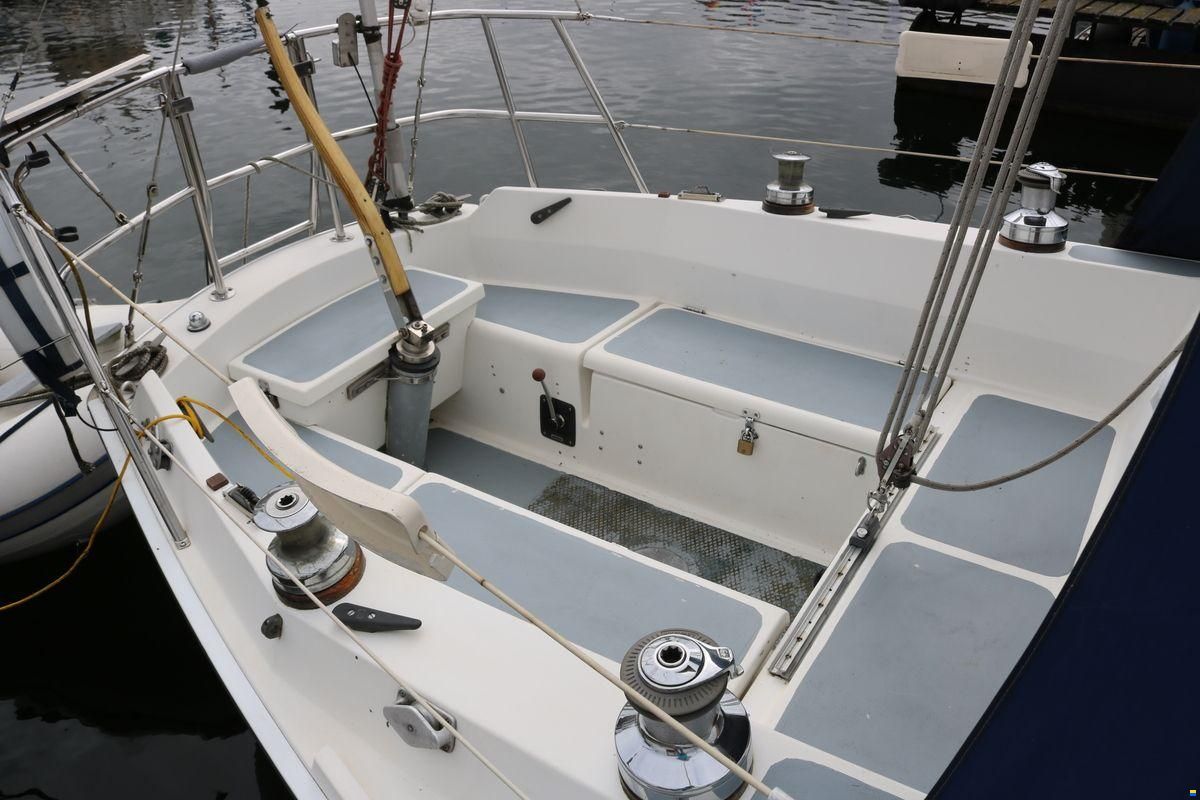 Cal 31