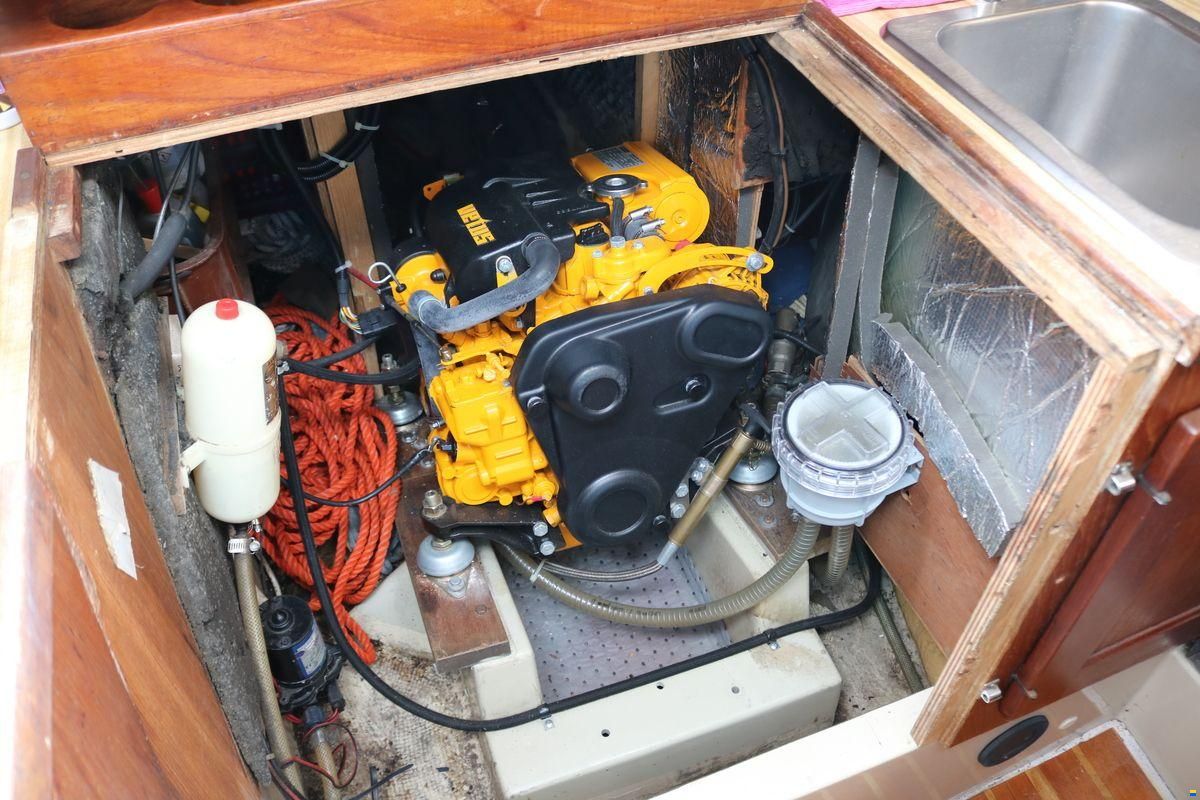 Cal 31