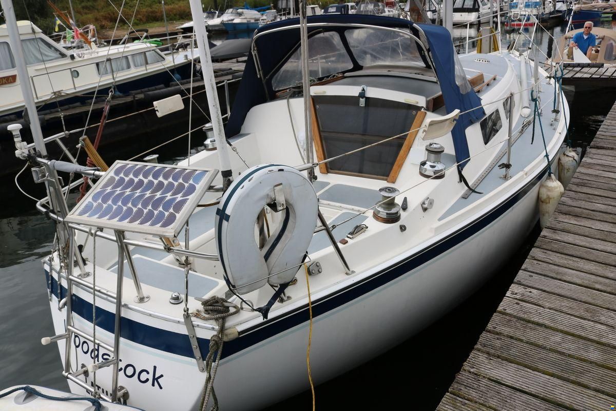Cal 31
