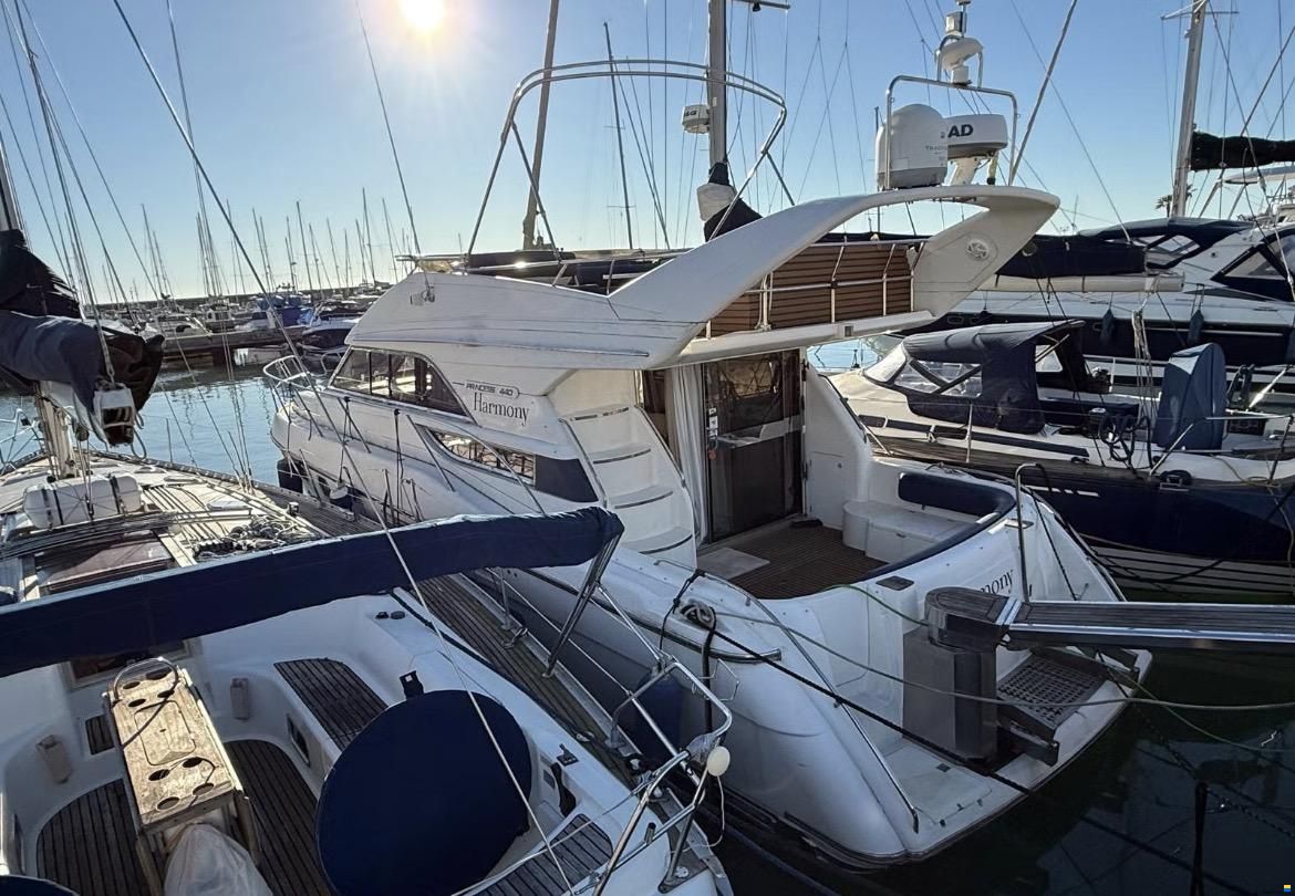 Princess 440
