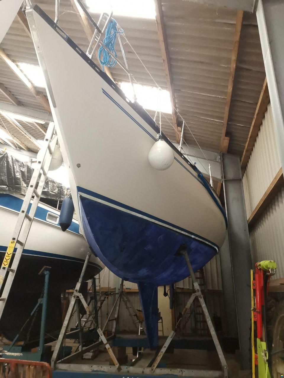 Opus / Pedersen & Thuesen Helmsman Opus 35
