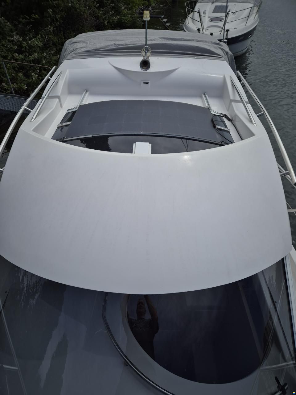 Sessa Dorado 26