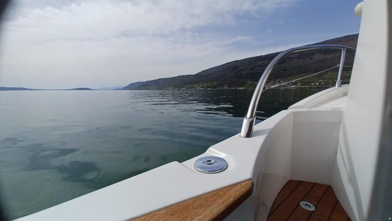 Sessa Dorado 26