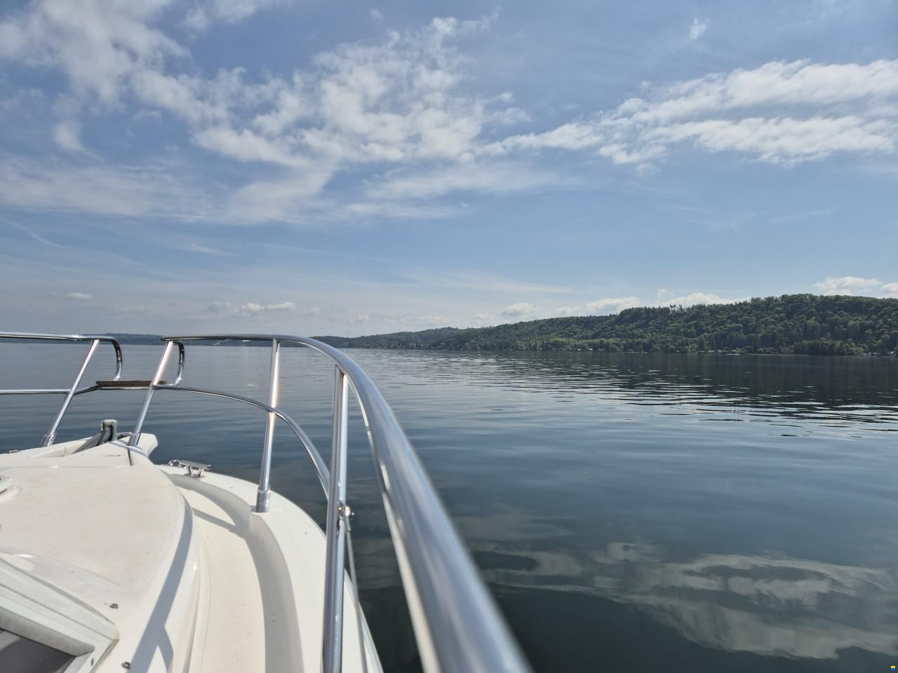 Sessa Dorado 26