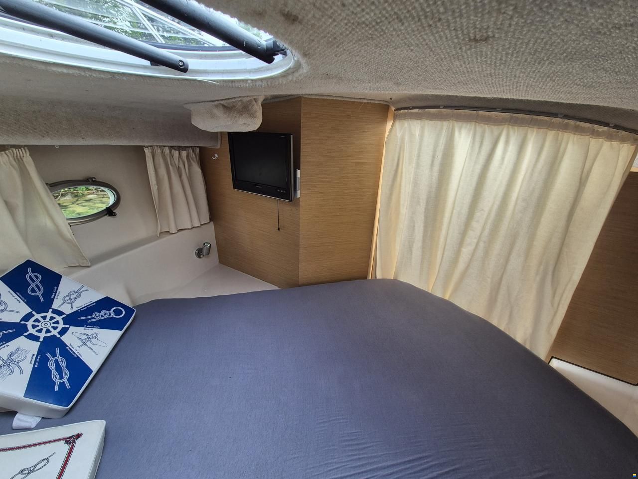 Sessa Dorado 26