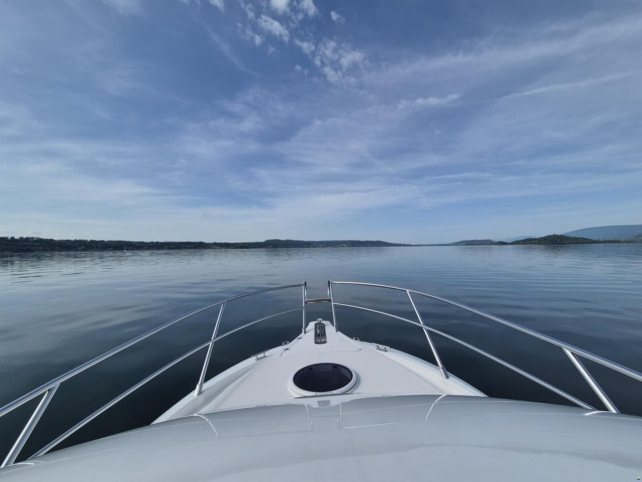 Sessa Dorado 26