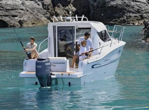 Sessa Dorado 26