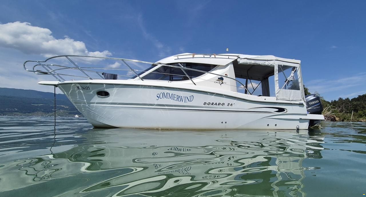 Sessa Dorado 26