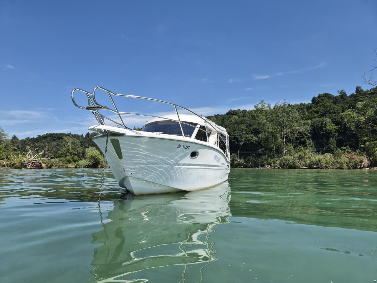 Sessa Dorado 26
