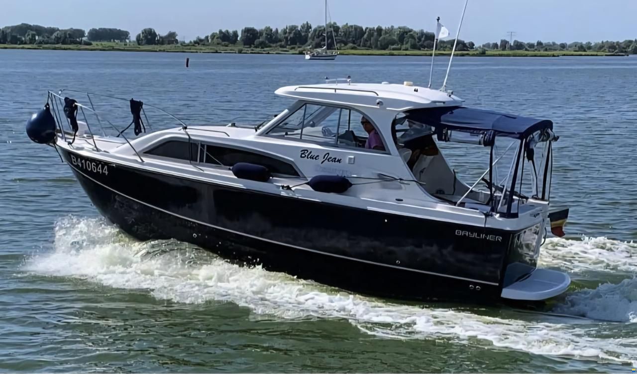 Bayliner 246 discovery