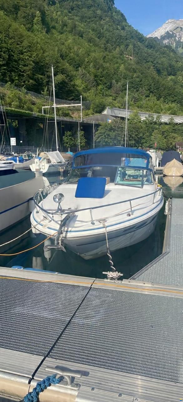 SEA RAY 280 SS