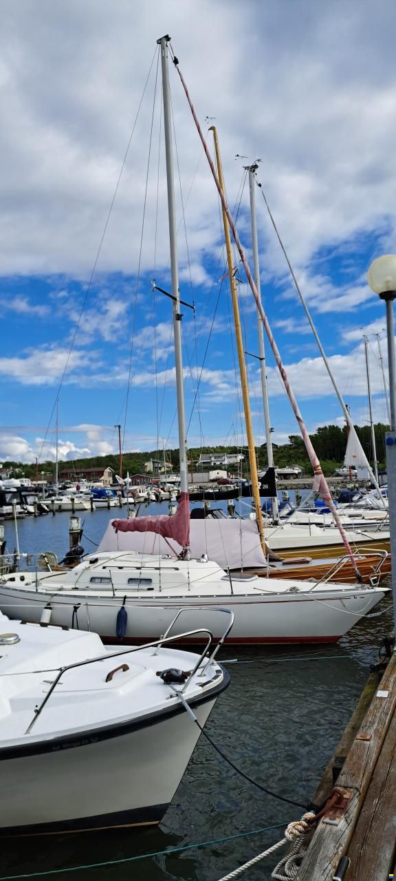 Albin Accent 26