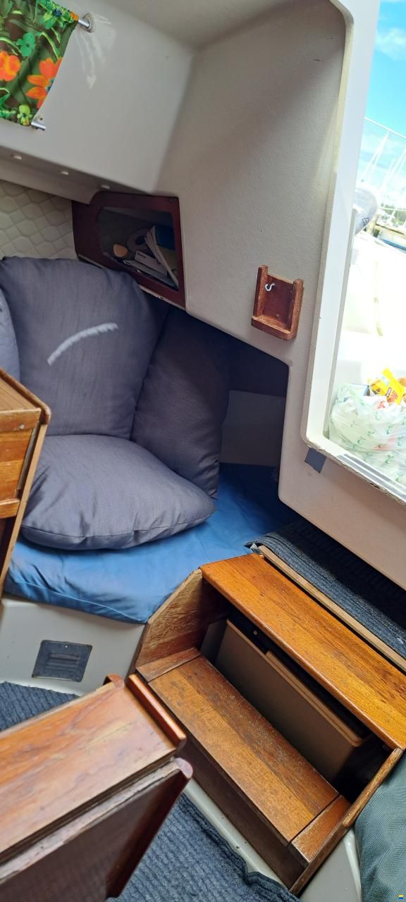 Albin Accent 26
