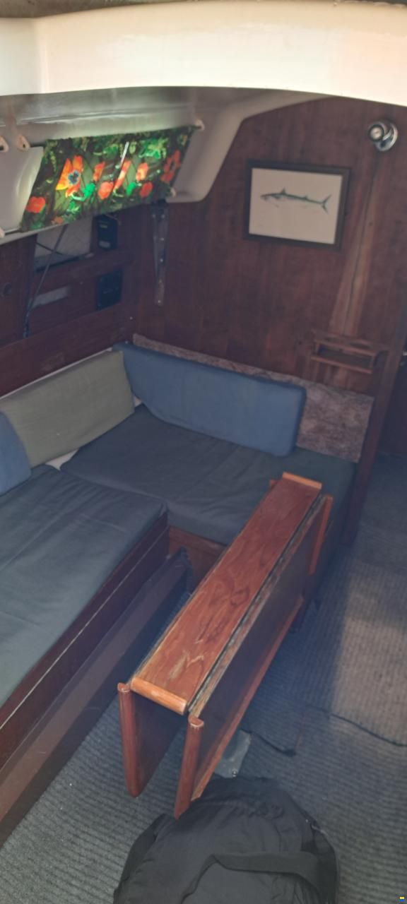 Albin Accent 26
