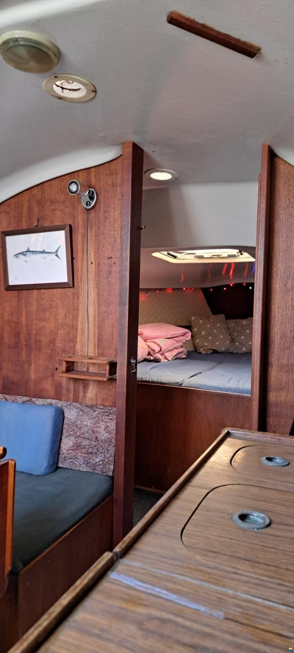 Albin Accent 26