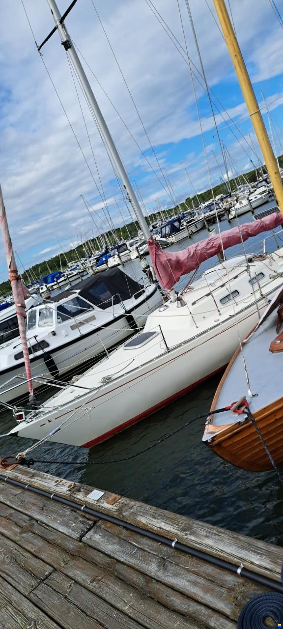 Albin Accent 26