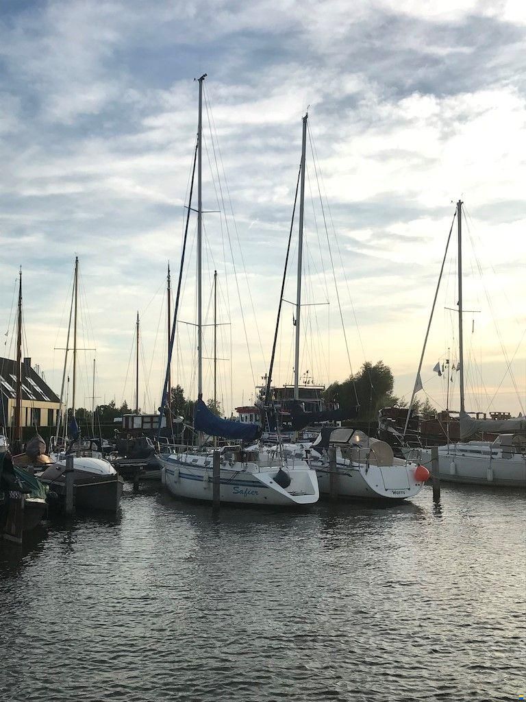 Bianca 320