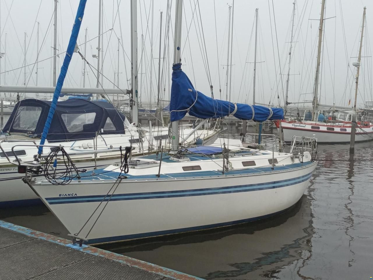 Bianca 320