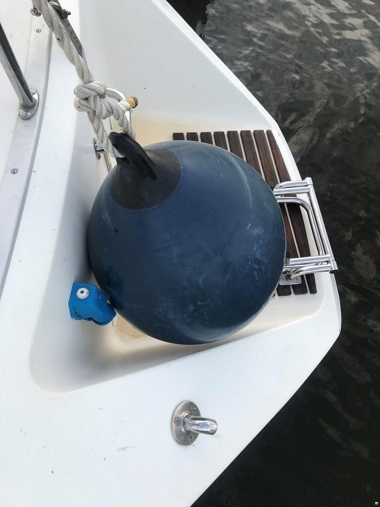 Bianca 320