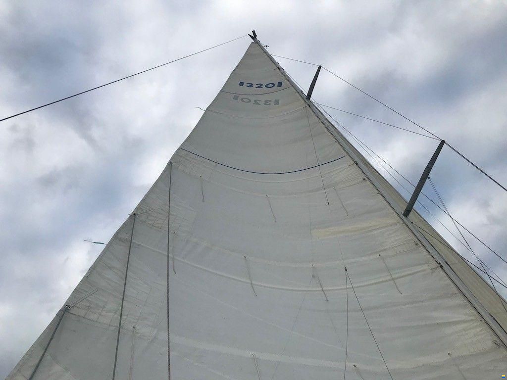 Bianca 320