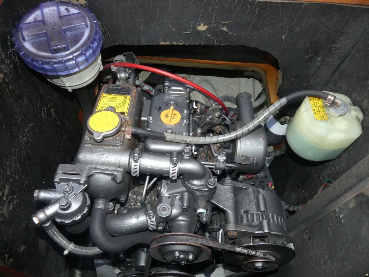 Bianca 320