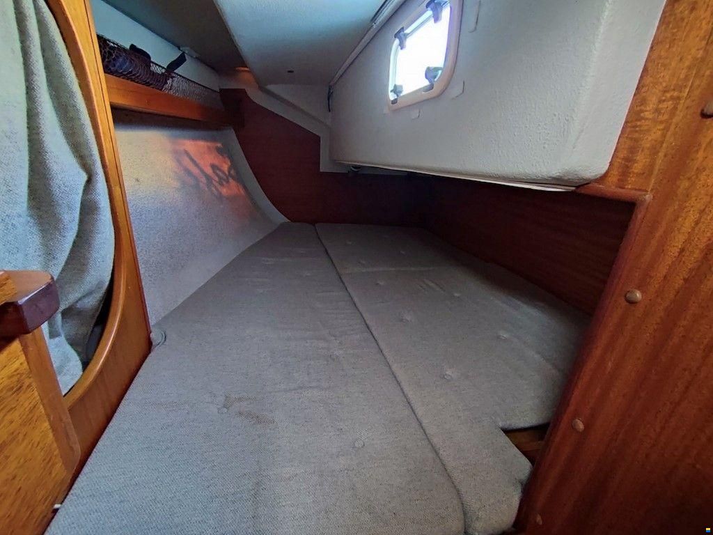 Bianca 320