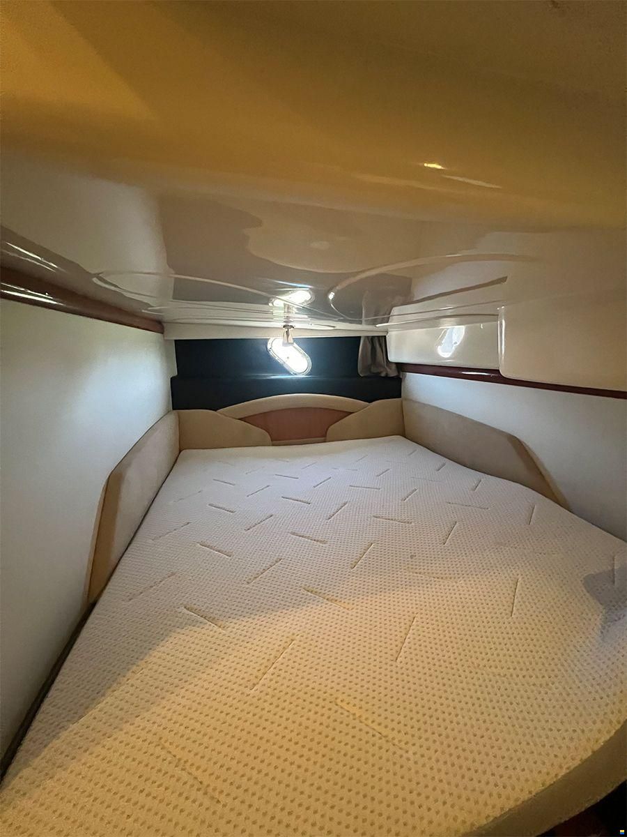 Cranchi Endurance 41