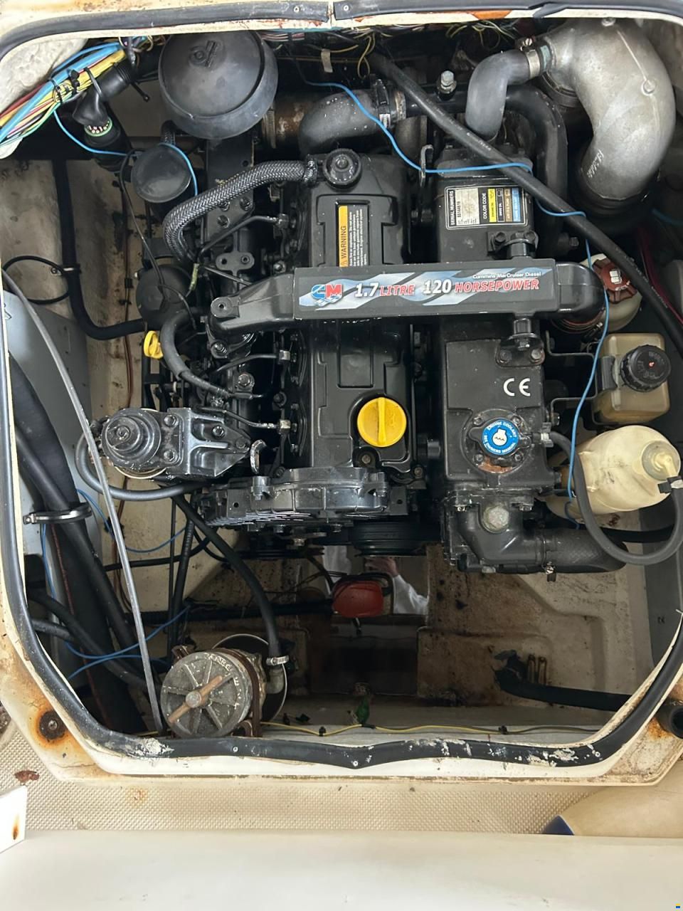 Trophy WA 1952