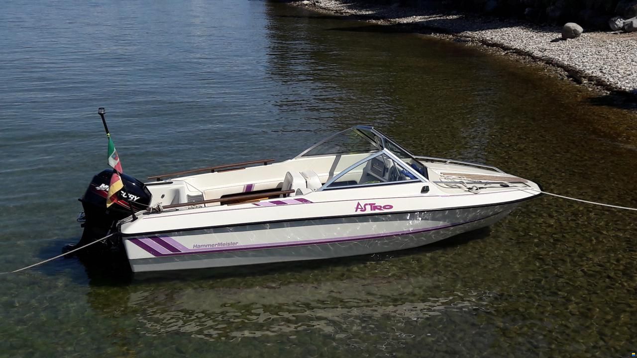 Hammermeister Starlet