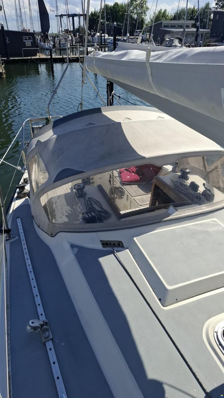 Sunwind 29