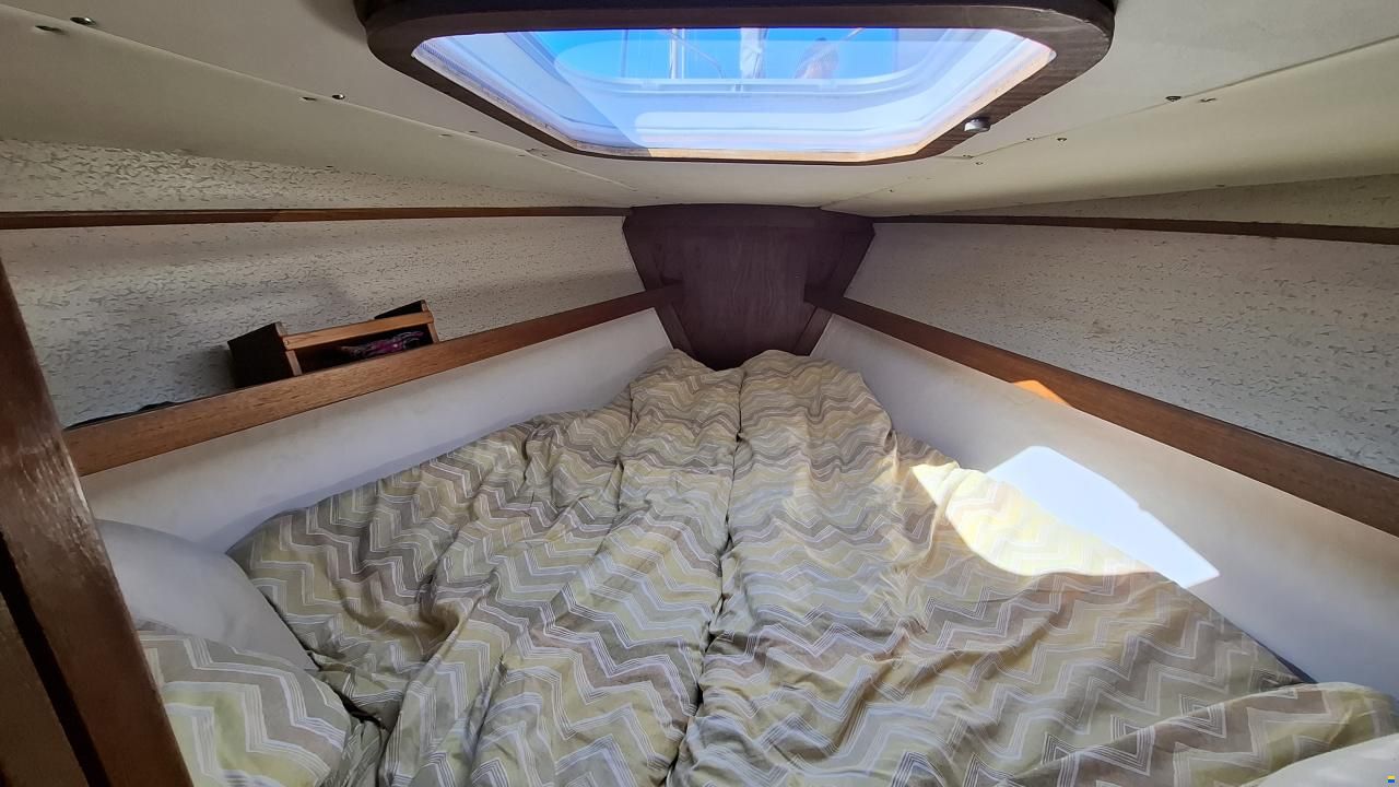Sunwind 29