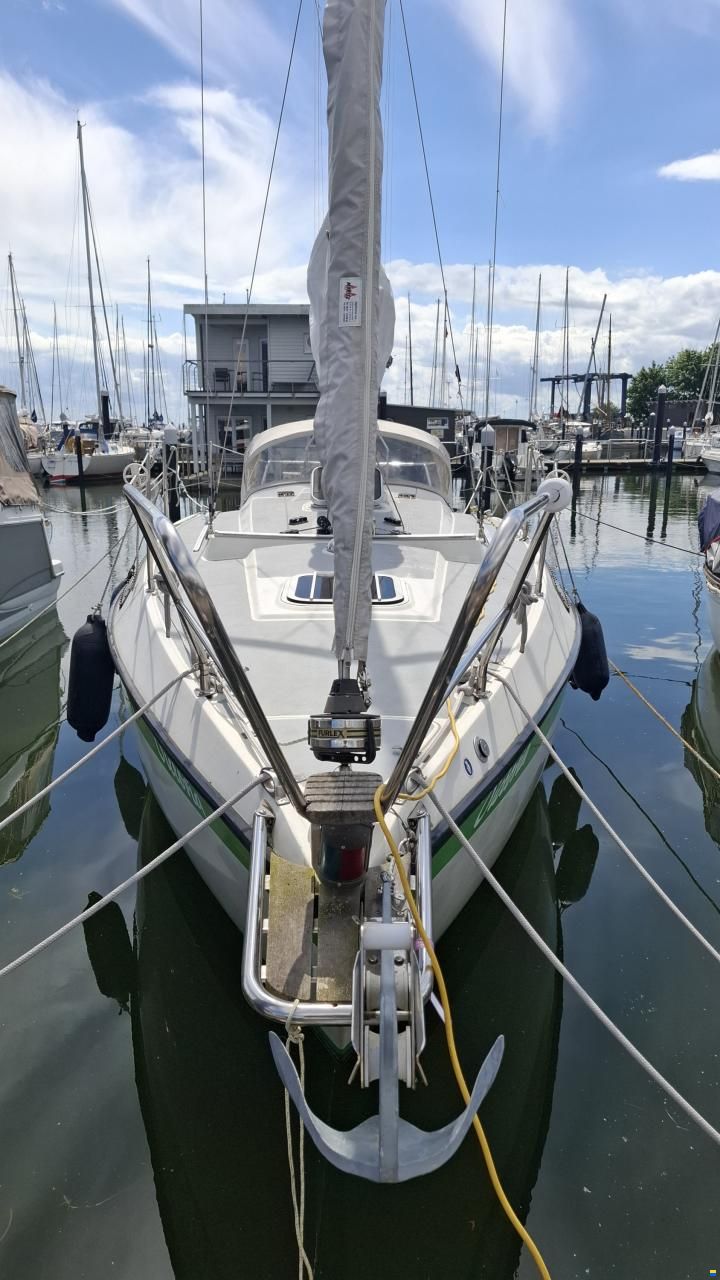 Sunwind 29