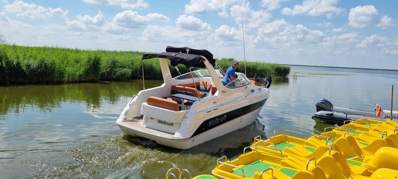 Wellcraft 2600 Martinique