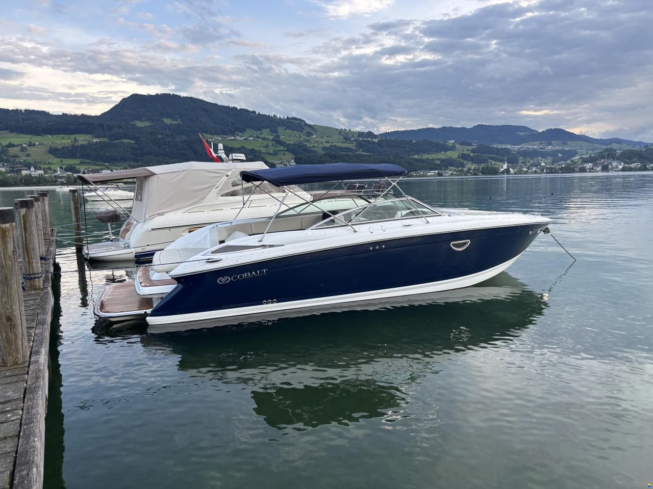 Cobalt 302