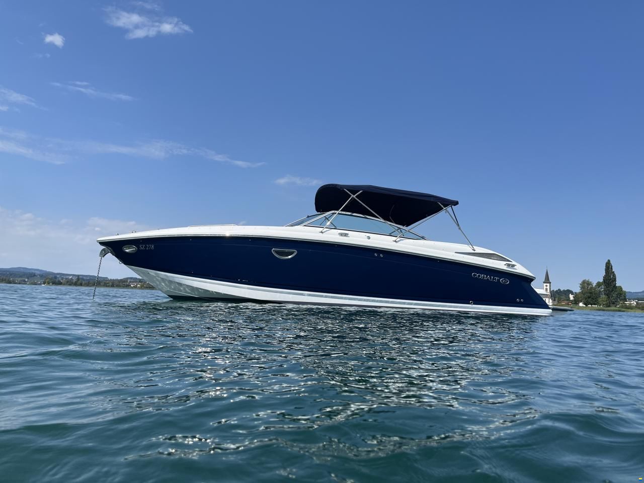 Cobalt 302